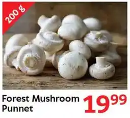 Oxford Freshmarket Forest Mushroom Punnet offer