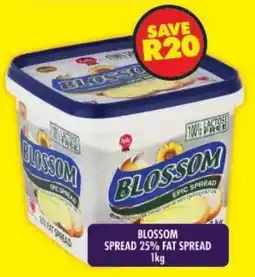 Shoprite Blossom spread 25% fat spread offer