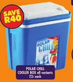 Shoprite Polar chill cooler box all variants offer