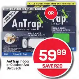 Pick n Pay AntTrap Indoor or Outdoor Ant Bait Each offer