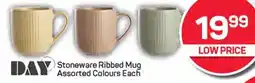 Pick n Pay DAY Stoneware Ribbed Mug offer