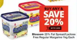 Checkers Blossom 25% Fat Spread/Lactose Free Regular Margarine offer