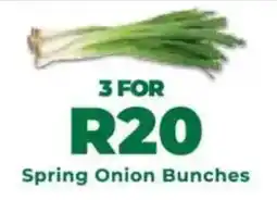Food Lover's Market Spring Onion Bunches offer