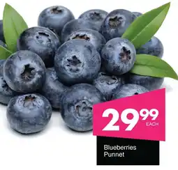 Save Hyper Blueberries Punnet offer