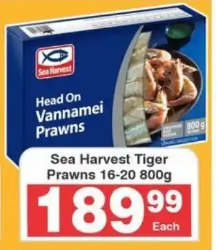 Frontline Sea Harvest Tiger Prawns offer