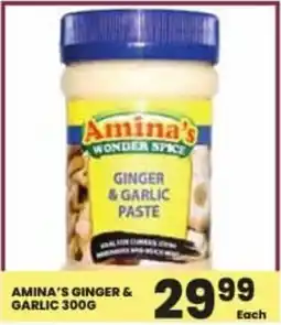 Super Save Amina's ginger & garlic offer