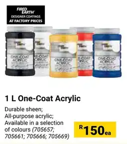 Builders Warehouse FIRED EARTH One-Coat Acrylic offer