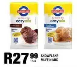 Take 'n Pay Snowflake Muffin Mix offer