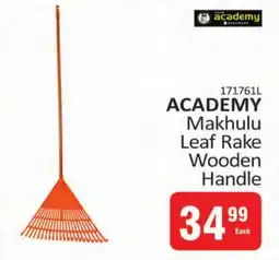 KitKat Cash and Carry ACADEMY Makhulu Leaf Rake Wooden Handle offer