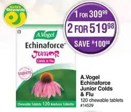 Dis-Chem A.Vogel Echinaforce Junior Colds & Flu offer