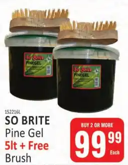 KitKat Cash and Carry SO BRITE Pine Gel + Free Brush offer