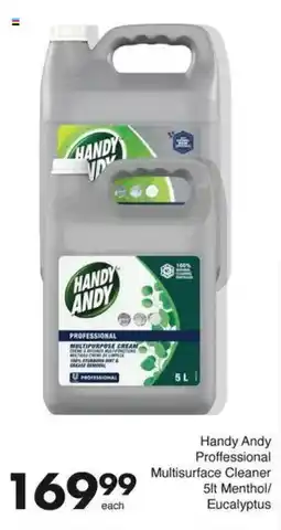 Save Handy Andy Proffessional Multisurface Cleaner Menthol/ Eucalyptus offer