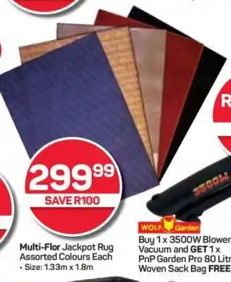 Pick n Pay Hypermarket Multi-Flor Jackpot Rug offer