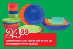 OK Foods Summer Picnic Plastic Tumbler, Bowl or Plate Set offer
