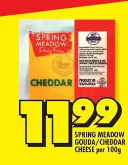 Shoprite SPRING MEADOW GOUDA/CHEDDAR CHEESE per 100g offer