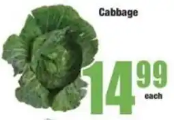 Boxer Cabbage offer