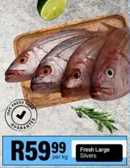 Take 'n Pay Fresh Large Silvers offer