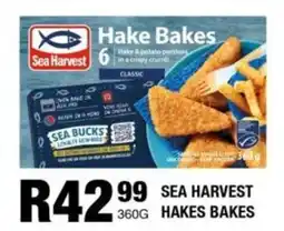 Take 'n Pay Sea Harvest Hake Bakes offer