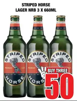 Boxer Liquors Striped horse lager nrb offer