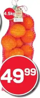 Pick n Pay PnP Citrus Orange Family Pocket offer
