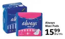 Oxford Freshmarket Always Maxi Pads offer