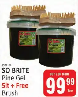 KitKat Cash and Carry SO BRITE Pine Gel + Free Brush offer