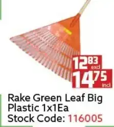 Africa Cash and Carry Rake Green Leaf Big Plastic offer