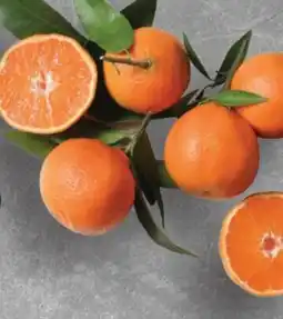 OK Foods Soft Citrus offer