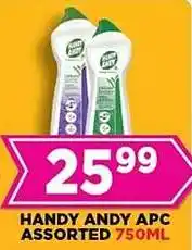 Goal Supermarket Handy andy apc assorted offer