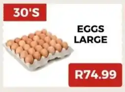 Saverite Eggs large offer
