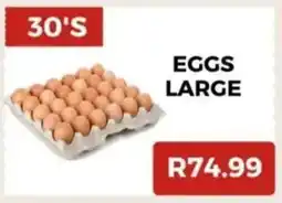 Saverite Eggs large offer