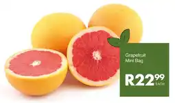 Save Grapefruit Mini Bag offer