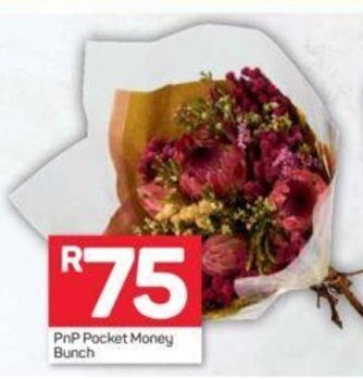 Pick n Pay PnP Pocket Money Bunch offer