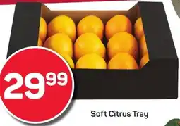 Pick n Pay Soft Citrus Tray offer