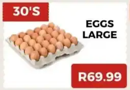 Saverite Eggs large offer