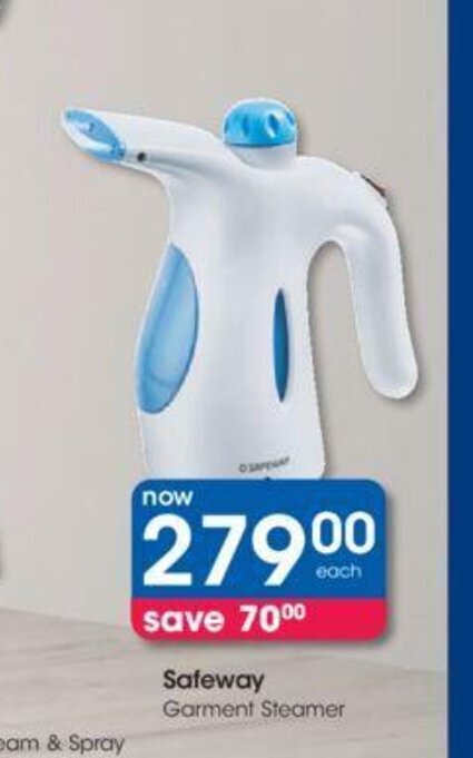 garment steamer dischem