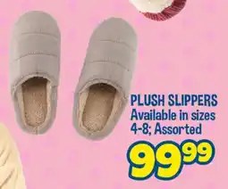 The Crazy Store Plush Slippers offer