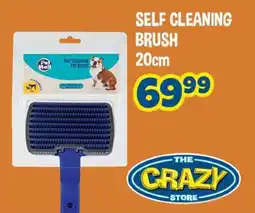 The Crazy Store Self Cleaning Brush offer