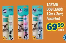 The Crazy Store Tartan dog leads offer