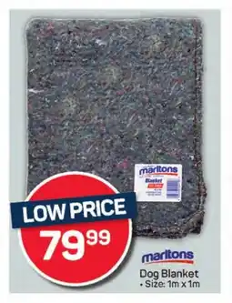 Pick n Pay Hypermarket Marltons Dog Blanket offer