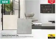 Builders Warehouse Pegasus CIL Plato Ceramic Tiles-350mm x 350mm Per Sqm offer