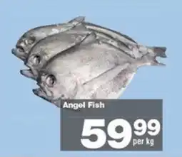 Check Star Angel Fish offer