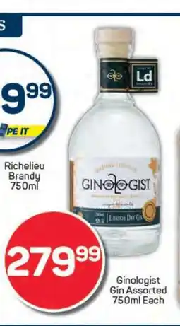 Pick n Pay Ginologist Gin Assorted 750ml Each offer