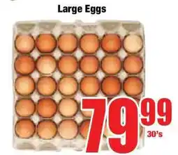 Boxer Large Eggs offer