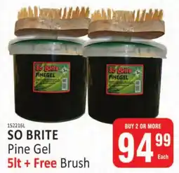 KitKat Cash and Carry SO BRITE Pine Gel + Free Brush offer