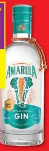 Shoprite Liquor Amarula premium african gin offer