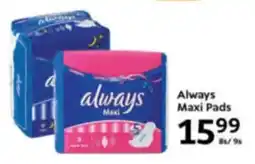 Oxford Freshmarket Always Maxi Pads offer