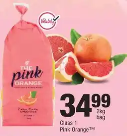 Checkers Class 1 Pink Orange offer