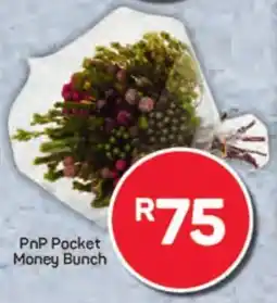 Pick n Pay Hypermarket PnP Pocket Money Bunch offer