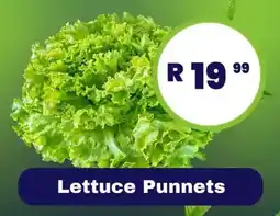 Super Save Lettuce Punnets offer